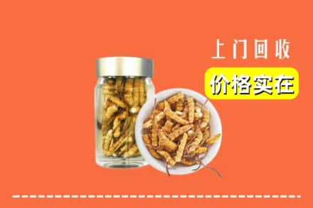 铜山区回收散虫草