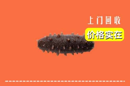 铜山区回收海参
