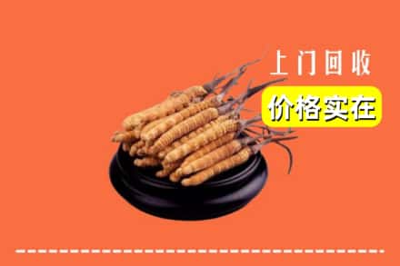 铜山区回收冬虫夏草